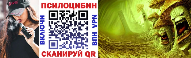 магазин продажи   Качканар  Псилоцибиновые грибы Psilocybine cubensis 